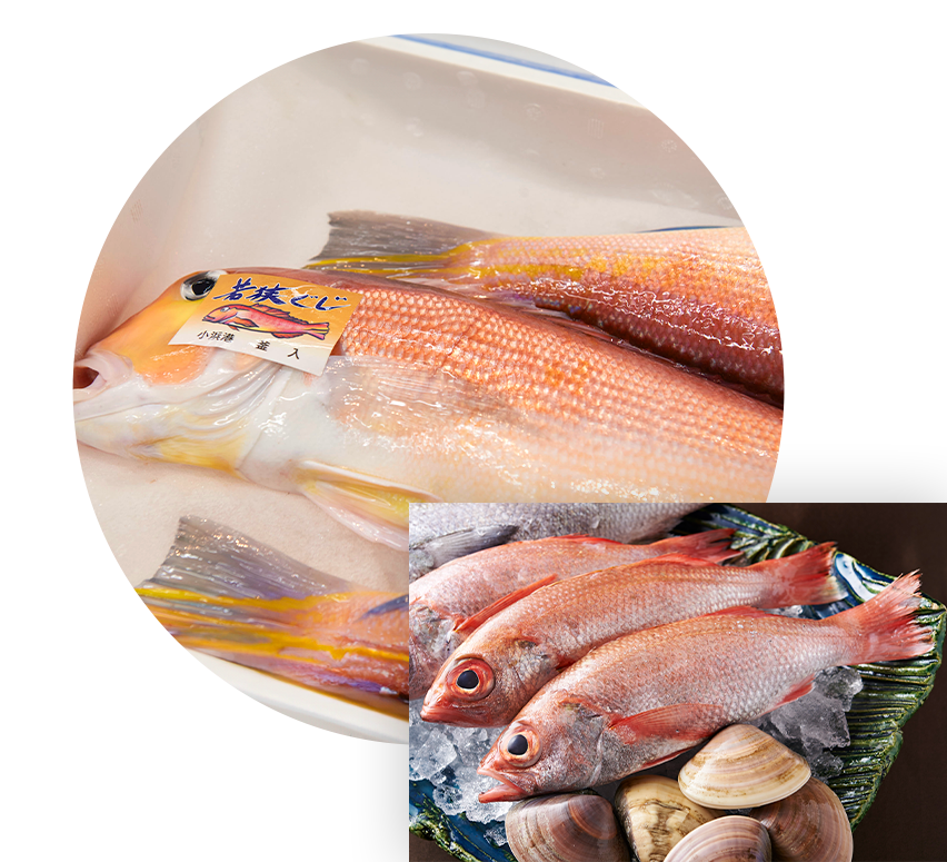 オーナー,鮮魚