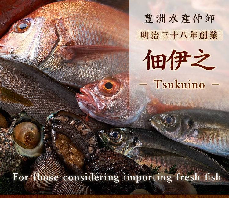 鮮魚,鮮魚の輸入をお考えの方へ